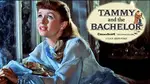 The Tammy movie song lyrics was written by Ray Evans, published in 1957 and debuted in the film "Tammy and the Bachelor."  It was #1 for five weeks replacing Elvis Presley's Teddy Bear on Sept 2, 1957.