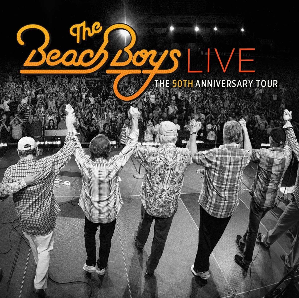 Beach Boys Vinyl Record Memories.com