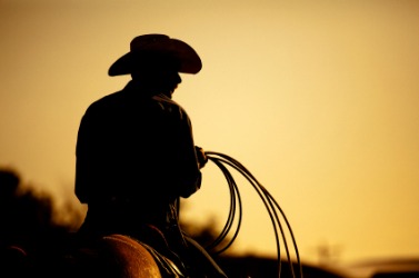 Life on the open range with cowboy campfire songs at vinyl record memories.