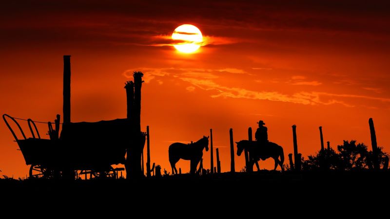 cowboy campfire sunset